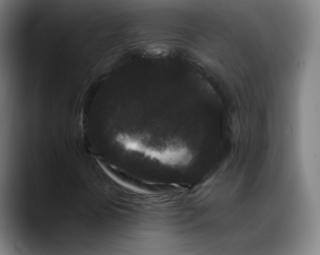 X0000089741394200707121459