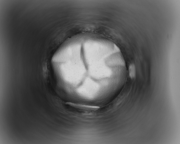 X0000089741395200707121459