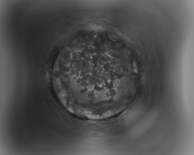 X0000089741397200707121459