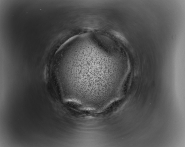 X0000089741398200707121459