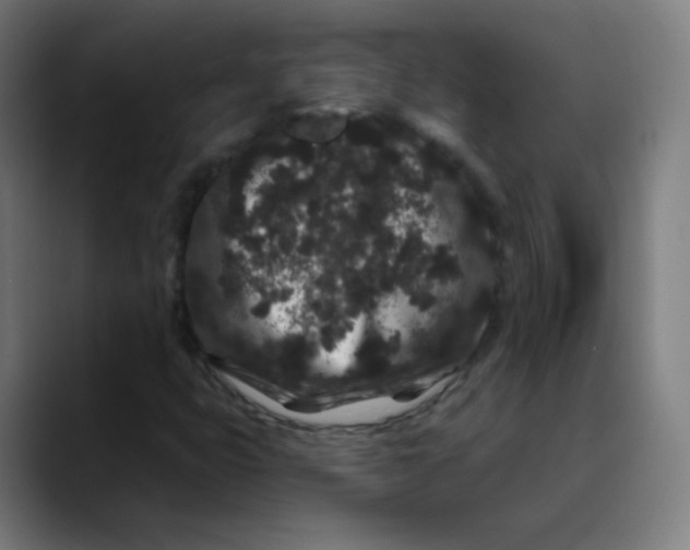 X0000089741399200707121459