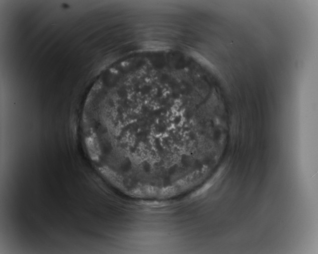 X0000089741401200707121459