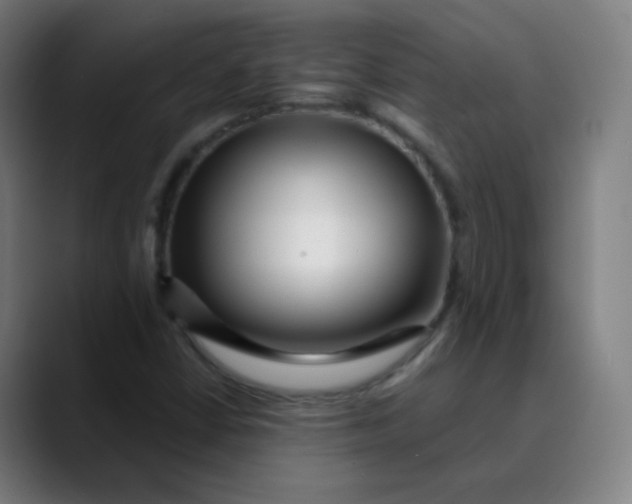 X0000089741402200707121459