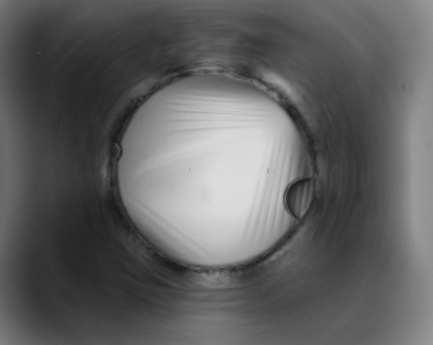 X0000089741403200707121459