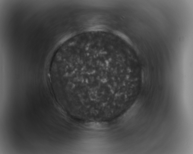 X0000089741405200707121459