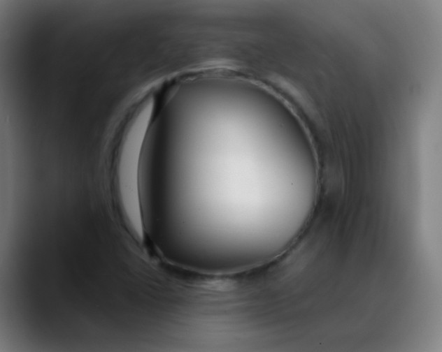 X0000089741406200707121459