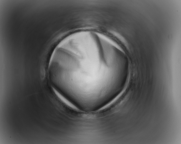 X0000089741407200707121459