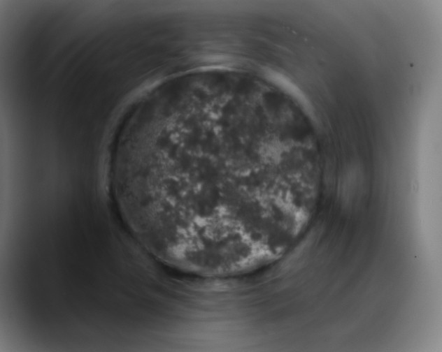 X0000089741411200707121459