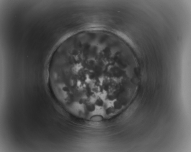 X0000089741413200707121459