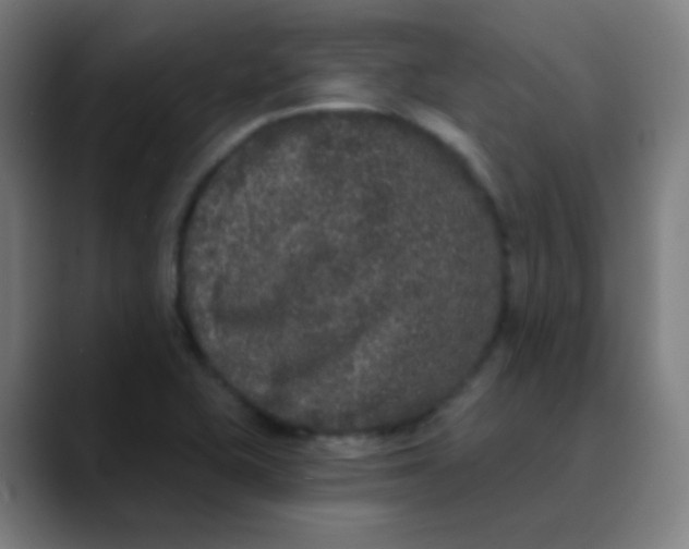 X0000089741415200707121459