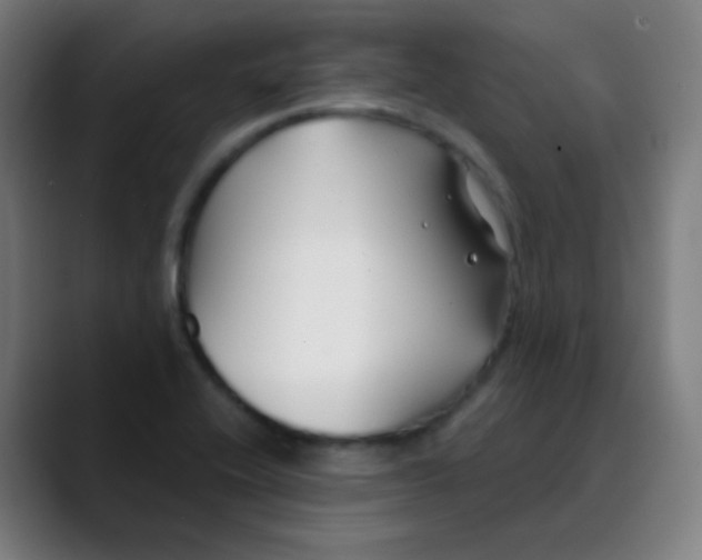 X0000089741416200707121459