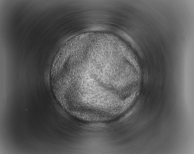 X0000089741417200707121459