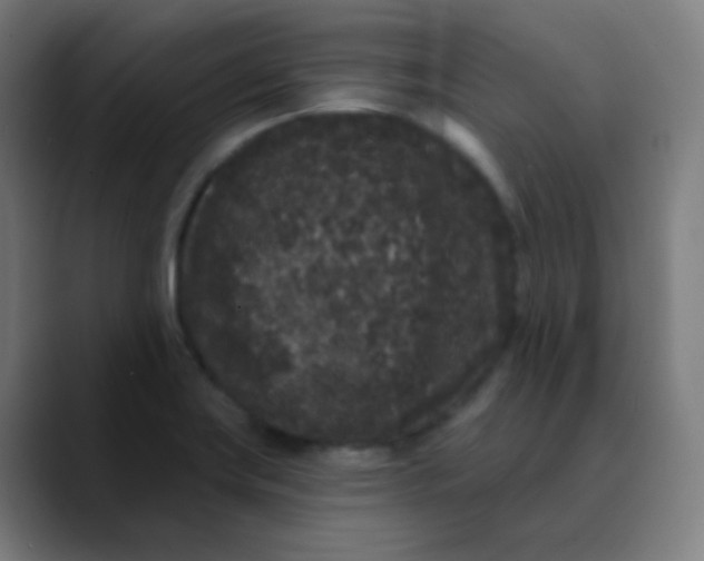 X0000089741419200707121459