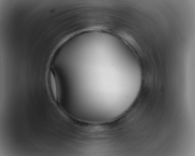 X0000089741420200707121459