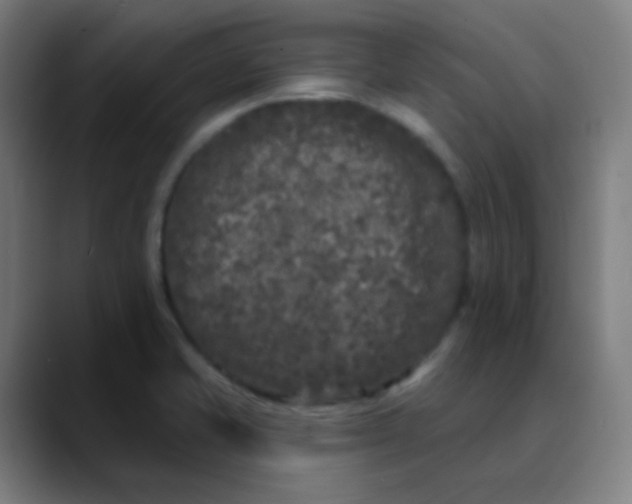 X0000089741421200707121459