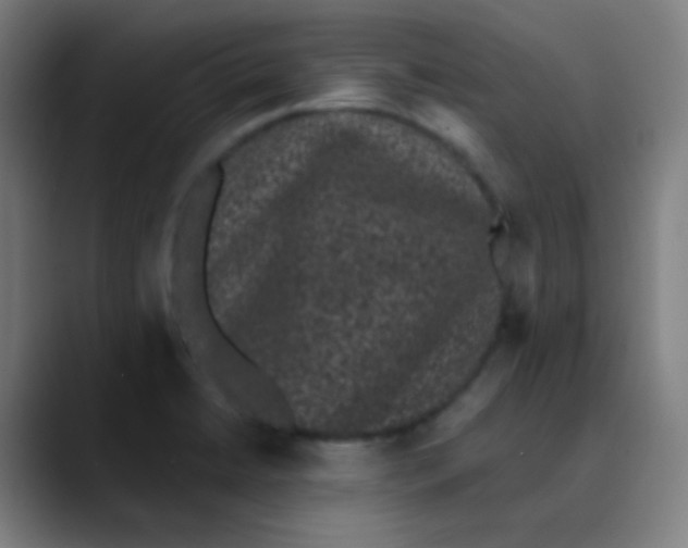 X0000089741422200707121459