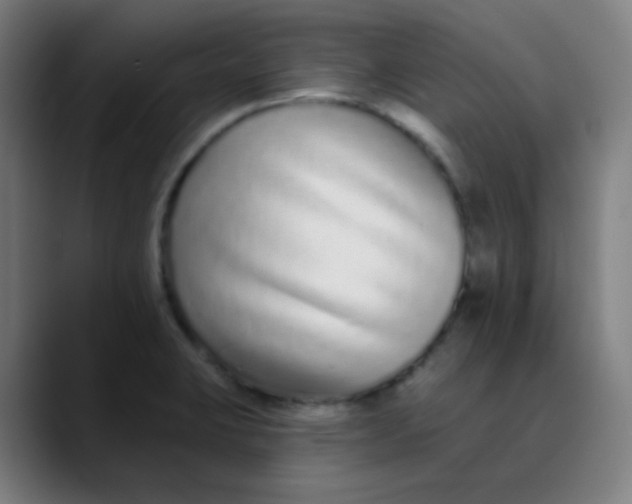 X0000089741423200707121459