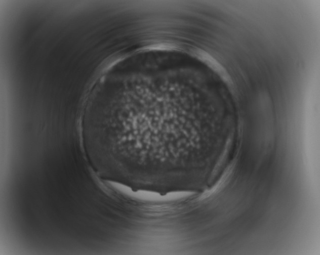 X0000089741425200707121459