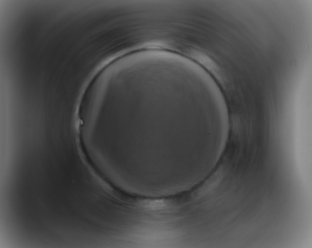 X0000089741428200707121459