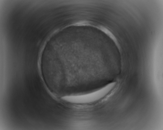 X0000089741429200707121459