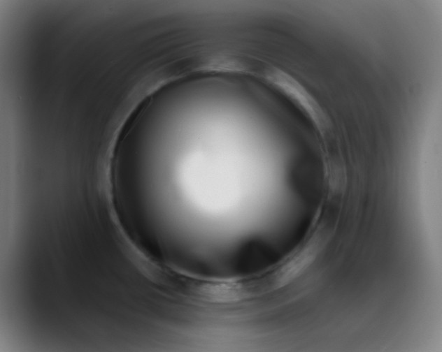 X0000089741434200707121459