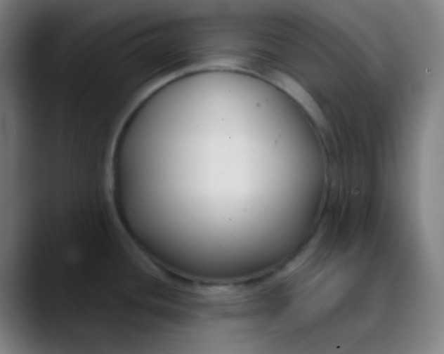 X0000089741436200707121459