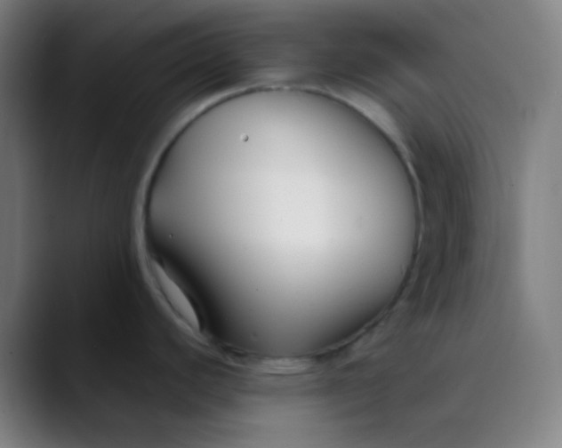 X0000089741440200707121459