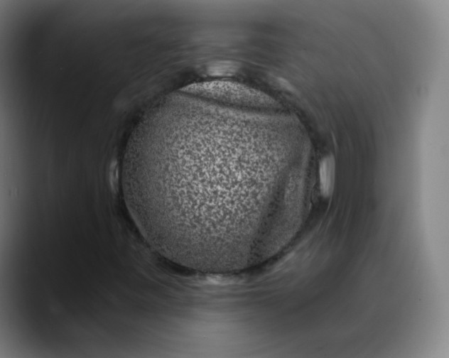 X0000089741443200707121459