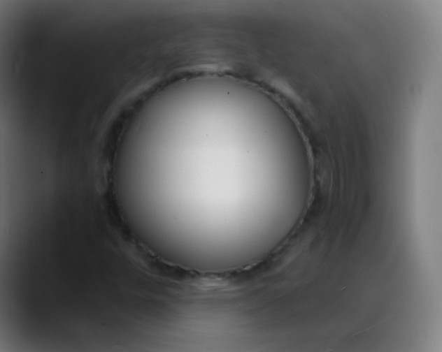 X0000089741448200707121459