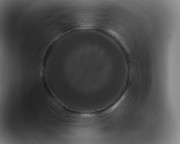 X0000089741449200707121459