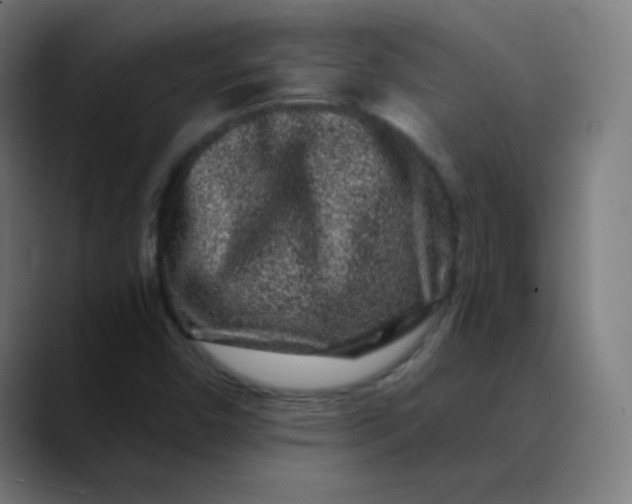 X0000089741450200707121458