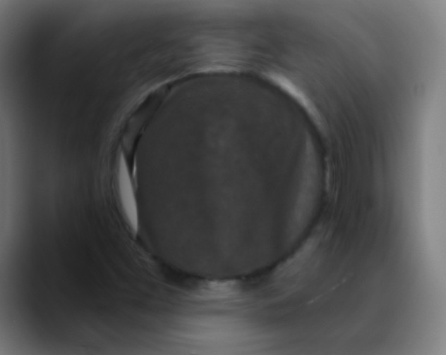 X0000089741453200707121458