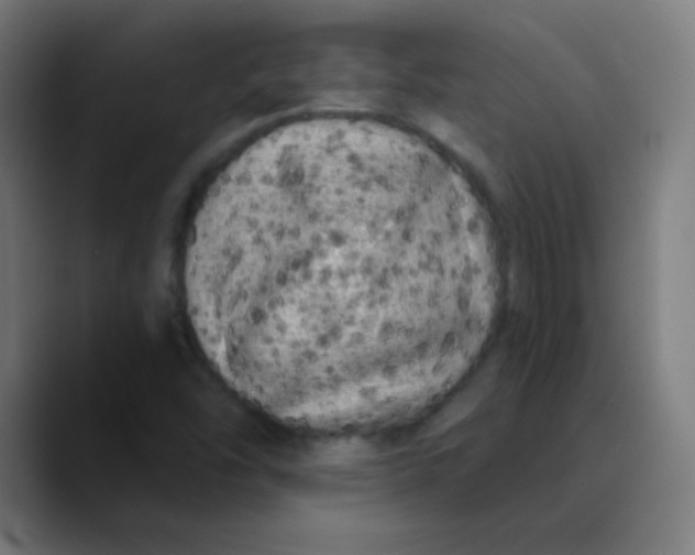 X0000089741454200707121458