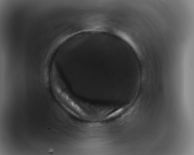 X0000089741455200707121458