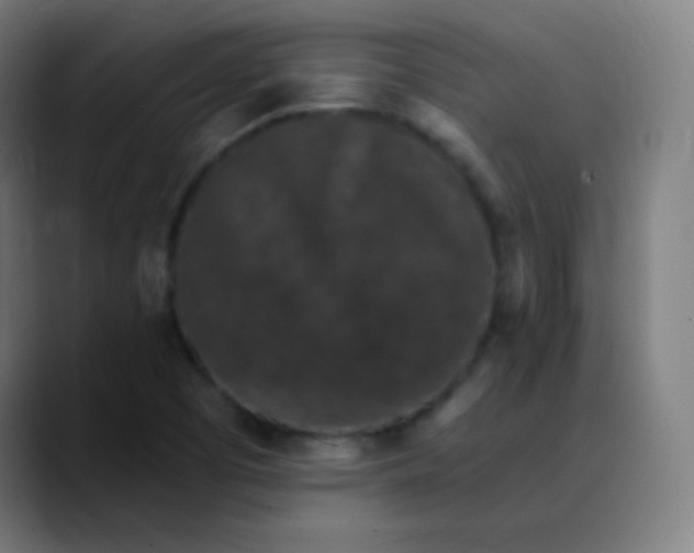 X0000089741457200707121458