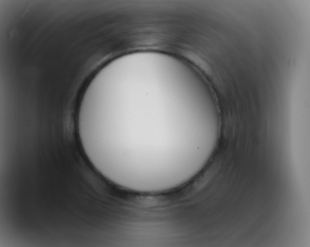 X0000089741458200707121458