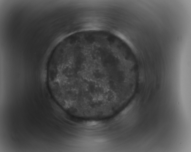 X0000089741459200707121458