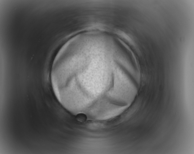 X0000089741462200707121458