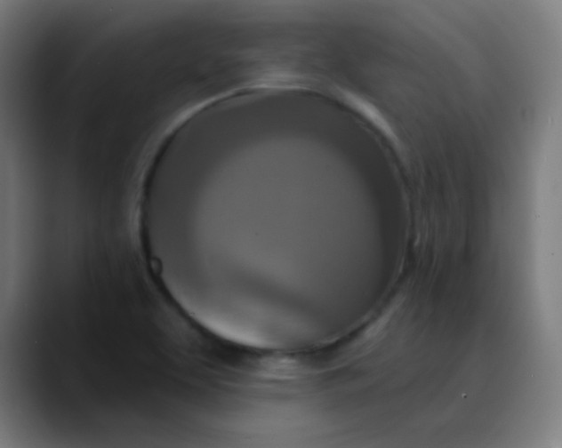 X0000089741463200707121458