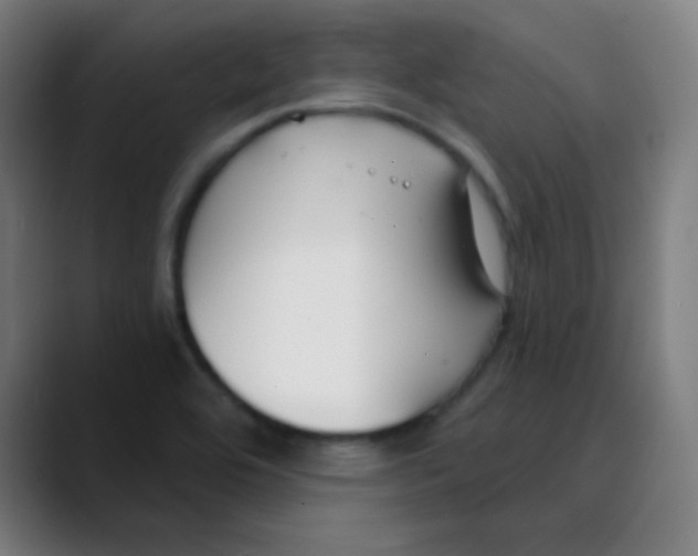 X0000089741464200707121458