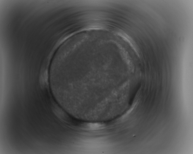 X0000089741465200707121458