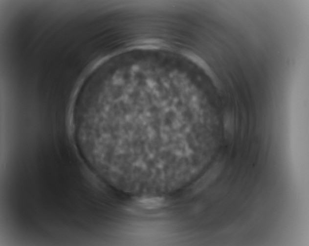 X0000089741466200707121458