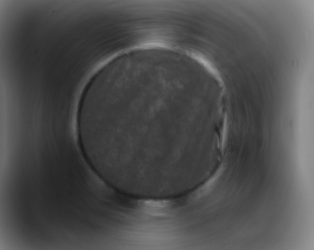 X0000089741469200707121458