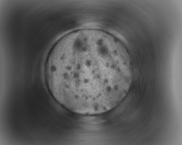 X0000089741470200707121458