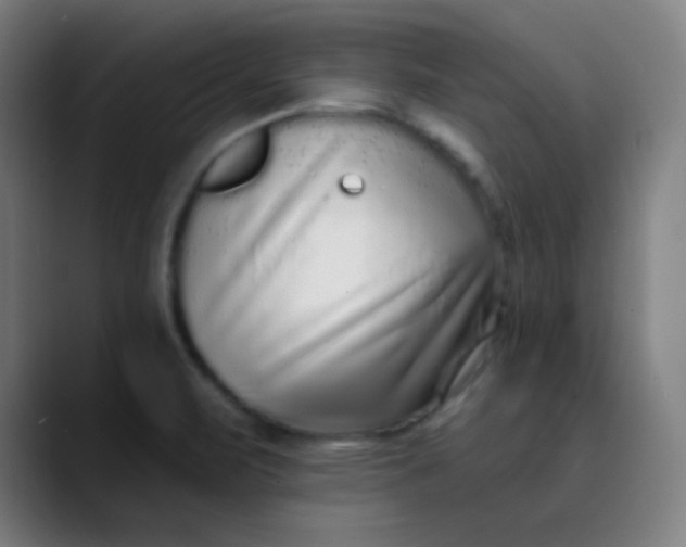 X0000089741471200707121458