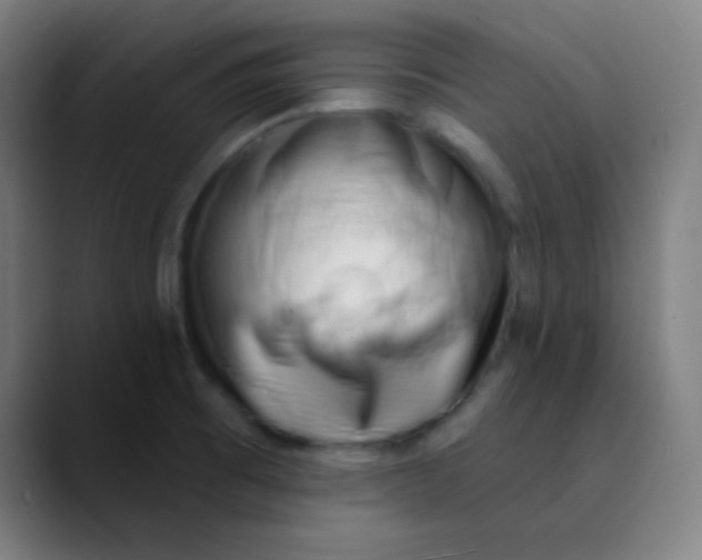 X0000089741473200707121458