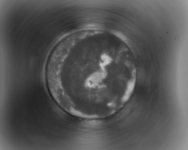 X0000089741474200707121458