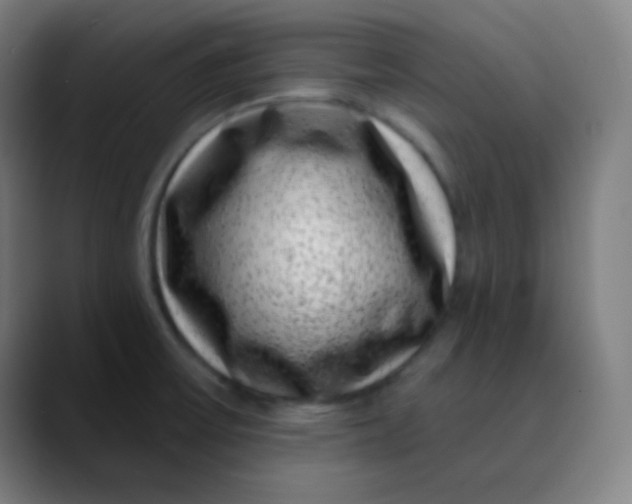 X0000089741475200707121458