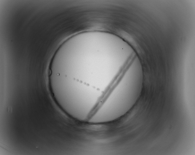 X0000089741479200707121458