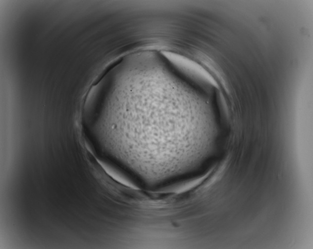 X0000089741481200707121458